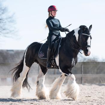 Sielja Dantved - Dressage & Showrider